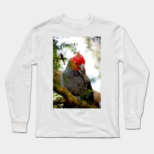 Tucking In Long Sleeve T-Shirt